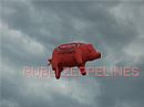 Zeppel�n con forma de cerdo 6 m Maxicarne