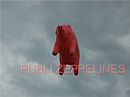 Zeppel�n con forma de cerdo 6 m Maxicarne
