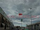 Zeppel�n con forma de cerdo 6 m Maxicarne