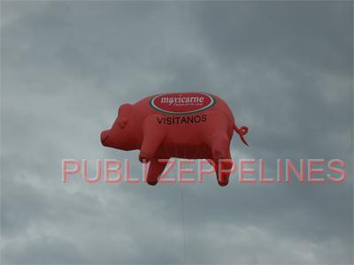 Zepelim dirigvel com forma de porco 6m Maxicarne
