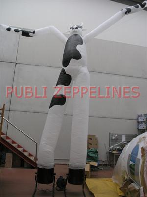 Dancer 6 m vaca